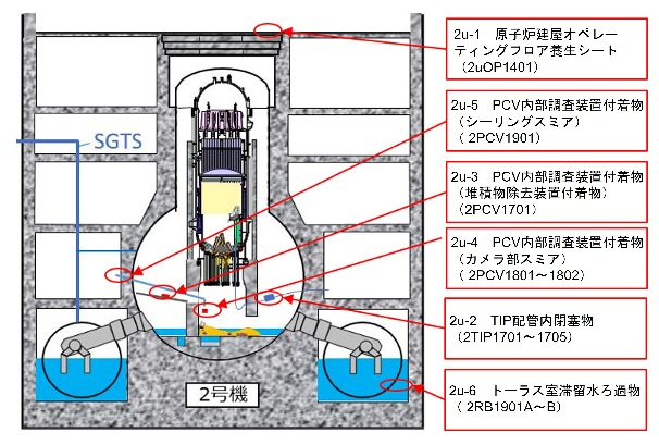 2号機TIP配管内閉塞物Bライン（2TIP1705）／分析結果の説明 - debrisWiki