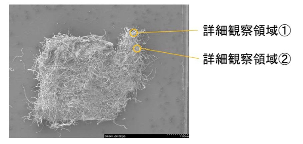 図2　FE-SEM像と各詳細観察箇所の位置