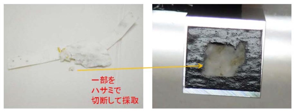 図1　FE-SEM観察台へのサンプル採取