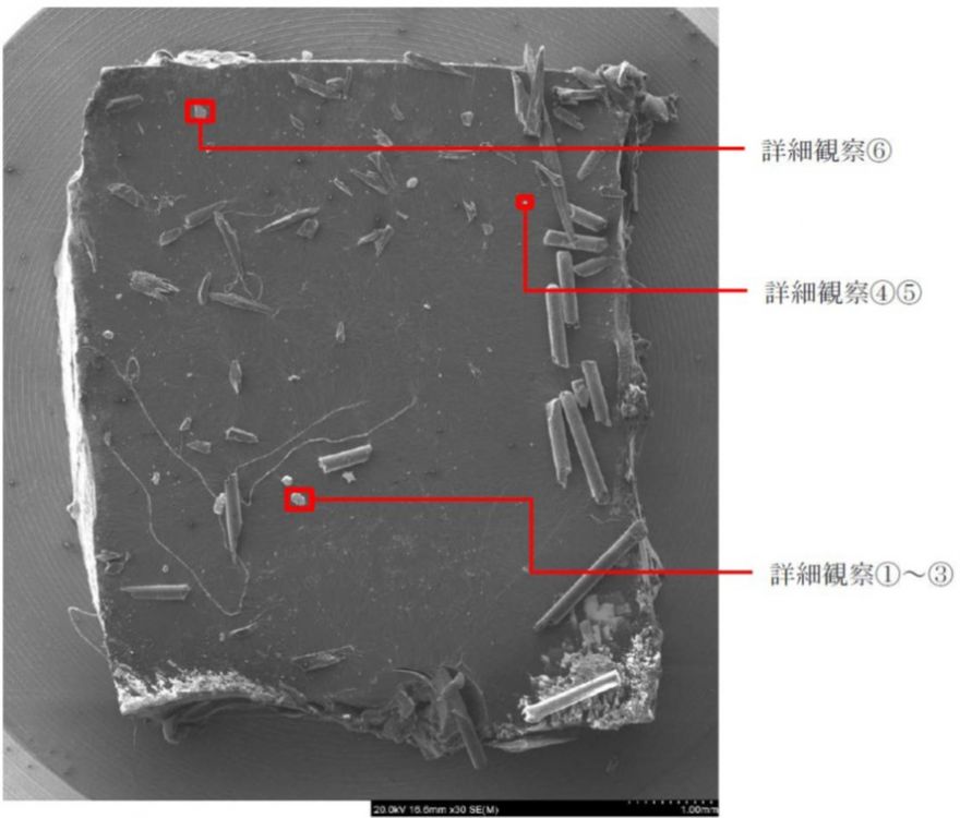 図2　FE-SEM像と各詳細観察箇所の位置
