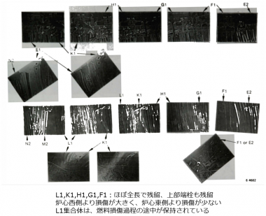 図２(a)　Plate-5部位の周辺燃料集合体の状態[5]