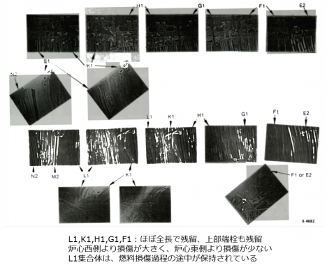 図２(e)　Plate-5部位の周辺燃料集合体の状態[5]