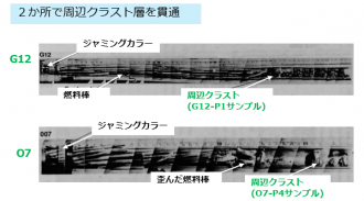 図２(b)　炉心中間から採集されたボーリングサンプルの外観 [2]