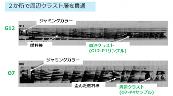 図２(b)　炉心中間から採集されたボーリングサンプルの外観 [2]