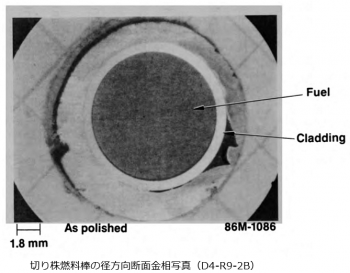 ボーリングサンプル 48.png