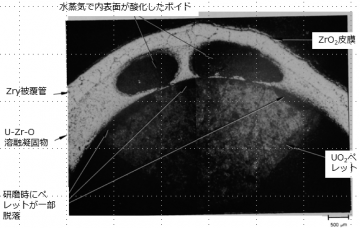 図３(a)　1A粒子の断面金相（研磨後）