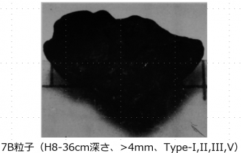 図２(q)　7B粒子の外観