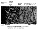 図９(a) 下部クラストサンプルの拡大金相写真（金属溶融凝固物と酸化Zry被覆管の界面）（D8-P2）[2]