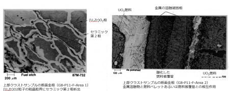 図５(c) 上部クラストサンプルの断面金相写真（マトリックス相、第２相、セラミック/金属の界面）（G8-P11）[2]
