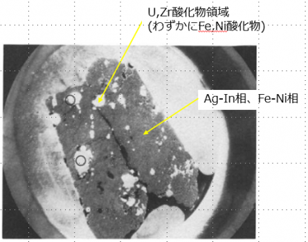 図５(b)　溶融・凝固層中の金属/酸化物混合相の断面金相写真 [12]