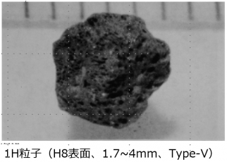 図２(d)　1H粒子の外観