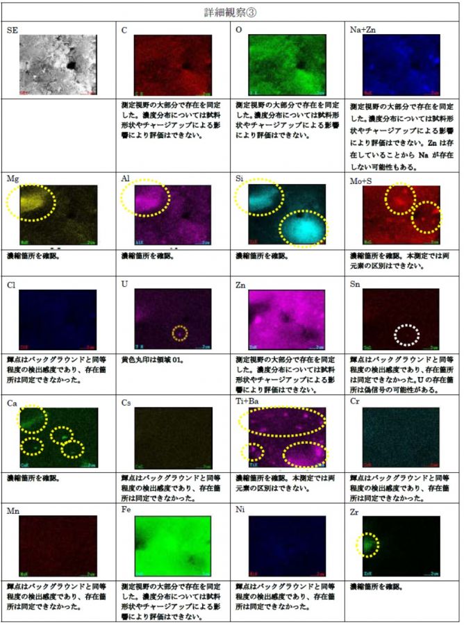FE-SEM/EDS観察結果（詳細観察③）
