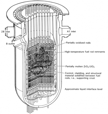 図４　スクラム後174分での炉内状況の推定 [2,3]