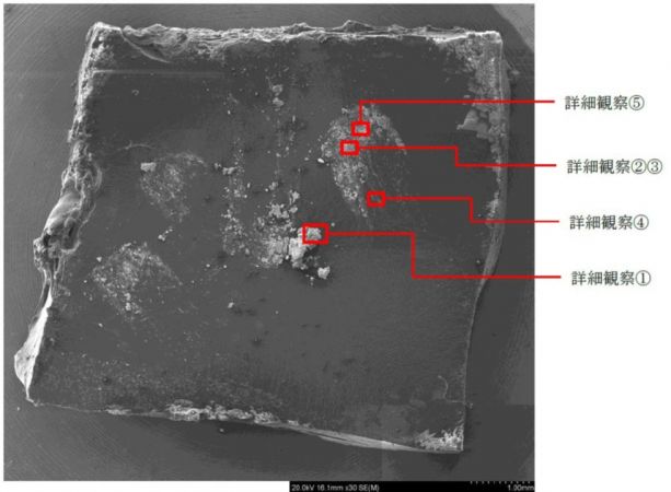 図2　FE-SEM像と各詳細観察箇所を含むエリア