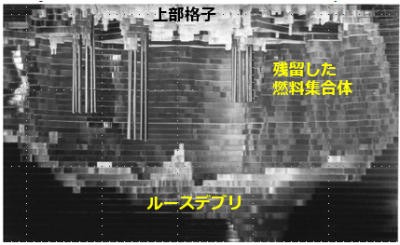 図11　炉心上部空洞のtopography像[1]