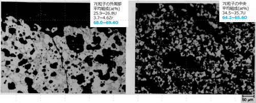 図19(b)(c)　7E粒子の外周部と中央部の断面金相（拡大、エッチング後）