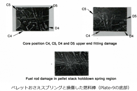 図３(d)　ルースデブリベッド上の破損燃料棒の状態[5]