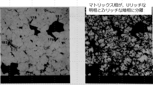 図21(b)(c)　領域-1（Location-A）の拡大BSI（#右図はコントラストを強調）