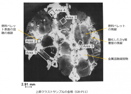 図４(c) 上部クラストサンプルの断面金相写真（G8-P11）[2]
