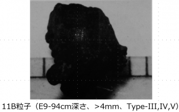 図２(B)　11B粒子の外観