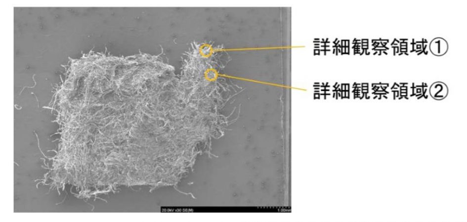 図2　FE-SEM像と各詳細観察箇所の位置