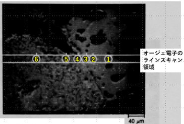 図14(e)　界面領域のオージェ電子像とラインスキャン部位