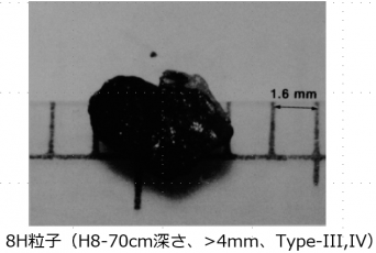 図２(v)　8H粒子の外観