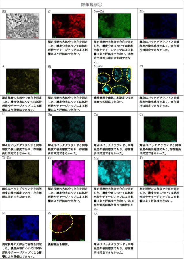 図6　FE-SEM/EDS観察結果（詳細観察①）