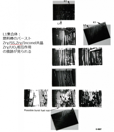 図４　L1集合体の状態[5]