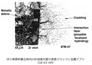 ボーリングサンプル 52.png