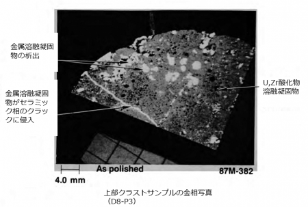 図４(b) 上部クラストサンプルの断面金相写真（D8-P3）[2]