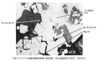 図９(b) 下部クラストサンプルの拡大金相写真（金属溶融凝固物中のUO2結晶析出、拡大）（K9-P1）[2]