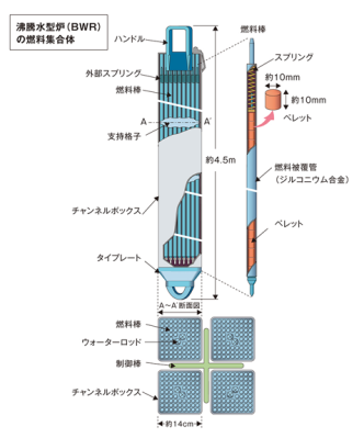 図２　BWR燃料集合体の模式図[2]