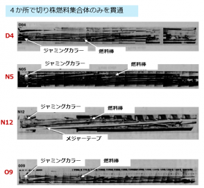図２(c)　炉心外周から採集されたボーリングサンプルの外観 [2]