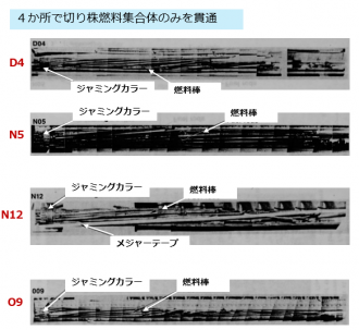 図２(c)　炉心外周から採集されたボーリングサンプルの外観 [2]