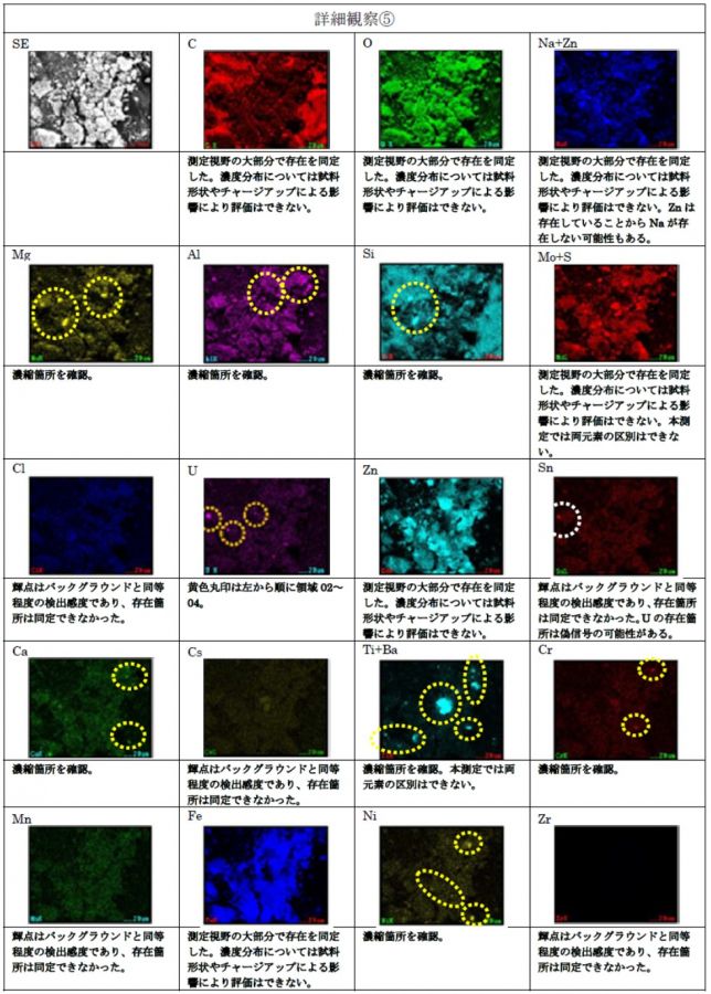 FE-SEM/EDS観察結果（詳細観察④）