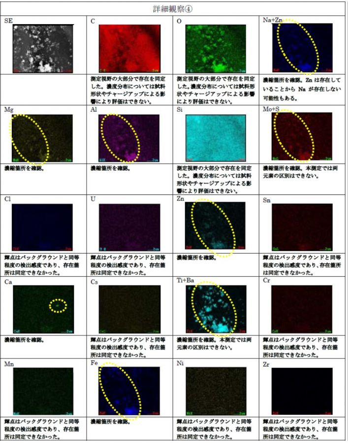 FE-SEM/EDS観察結果（詳細観察④）