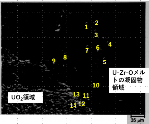 図14(g)　界面領域のEDX測定部位