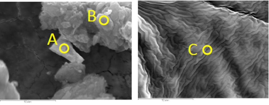 図4　2WEL2102A WDX点分析の概略位置 点A：U含有粒子上　点B：U含有粒子周辺の粒子　点C：カーボンテープ上