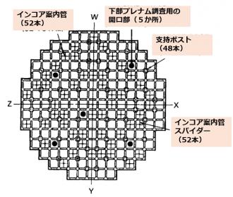 図５　LCSA第１層スパイダーの切断 [11]
