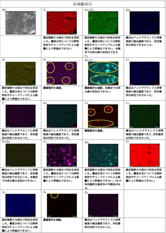 図9　FE-SEM/EDS観察結果（詳細観察⑥）