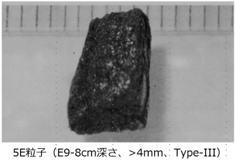 図２(j)　5E粒子の外観