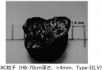 図２(t)　8C粒子の外観