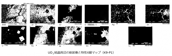 図９(c)　金属相中の特性X線マップ (K9-P1) [2]