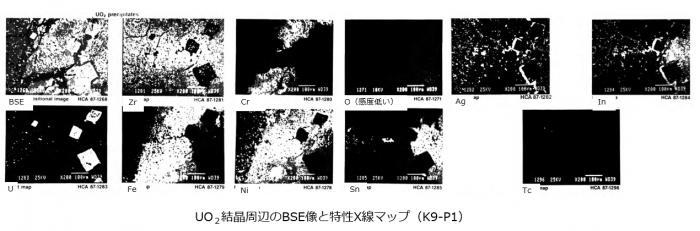図９(c)　金属相中の特性X線マップ (K9-P1) [2]