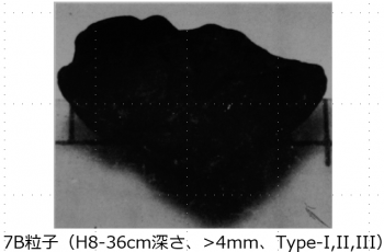 図２(q)　7B粒子の外観