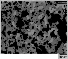 図19(d)　7E粒子の外周部の断面BSI（拡大）