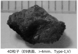 図２(i)　4D粒子の外観