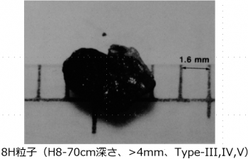 図２(v)　8H粒子の外観