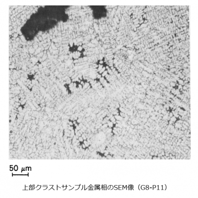 図５(d) 上部クラストサンプルの断面金相写真（金属相のデンドライト構造）（G8-P11）[2]